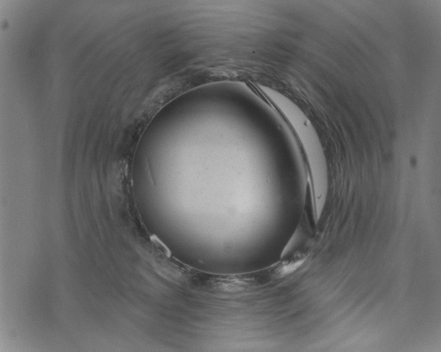 X0000073730229200608241305