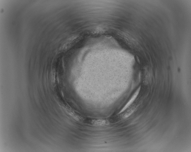 X0000073730230200608241305