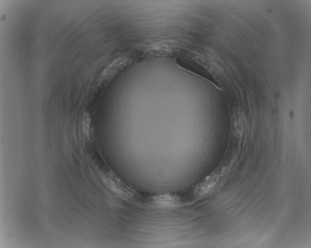 X0000073730231200608241305