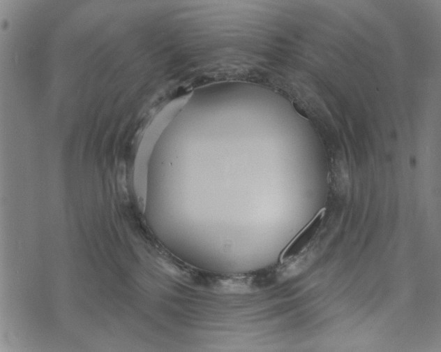 X0000073730232200608241305