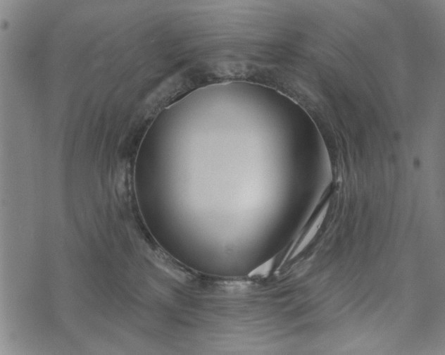 X0000073730233200608241305