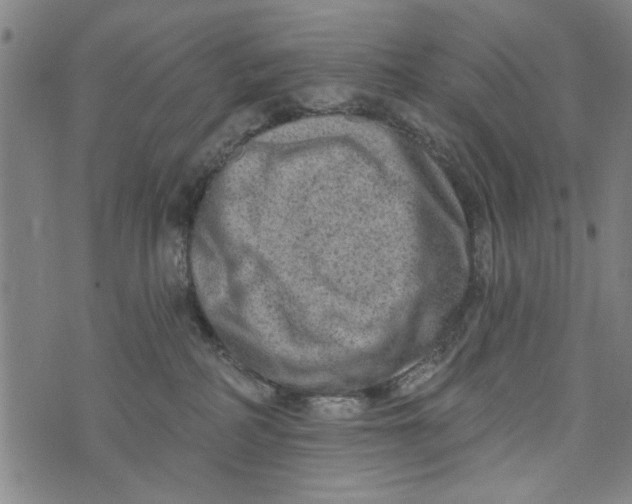 X0000073730234200608241305