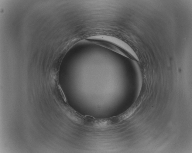 X0000073730235200608241305