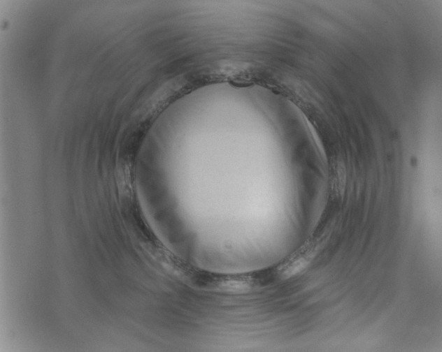 X0000073730236200608241305