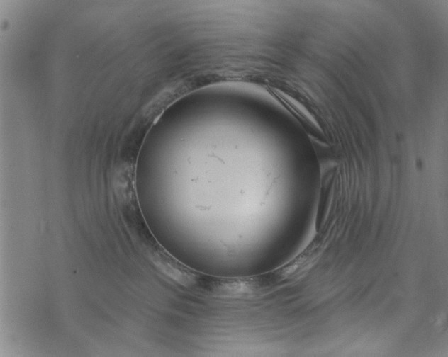 X0000073730237200608241305