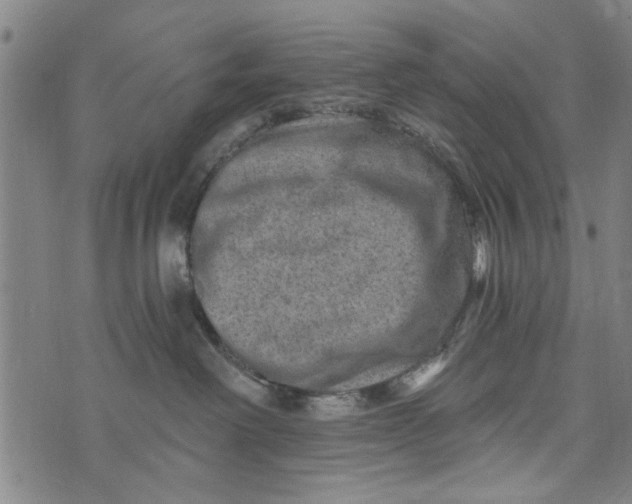 X0000073730238200608241305