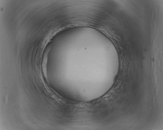 X0000073730241200608241304