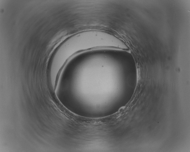 X0000073730243200608241304