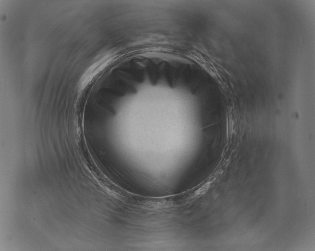 X0000073730245200608241304