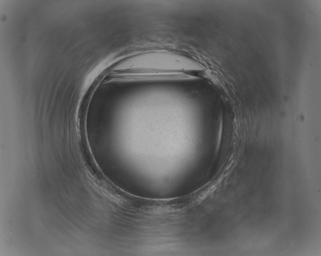 X0000073730246200608241304