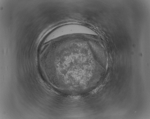 X0000073730247200608241304