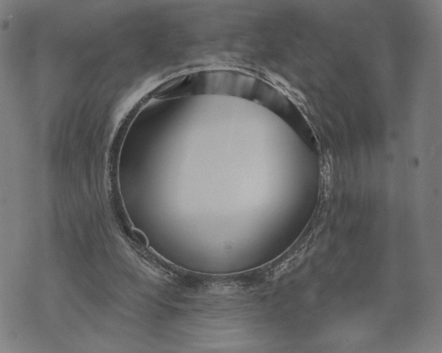 X0000073730248200608241304