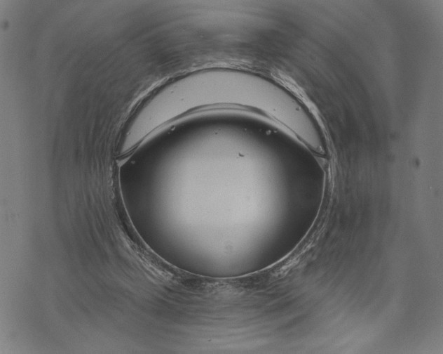 X0000073730249200608241304