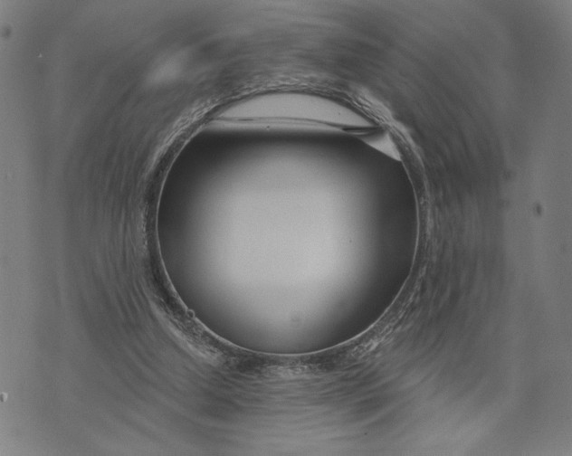 X0000073730250200608241304