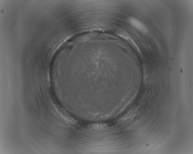 X0000073730251200608241304