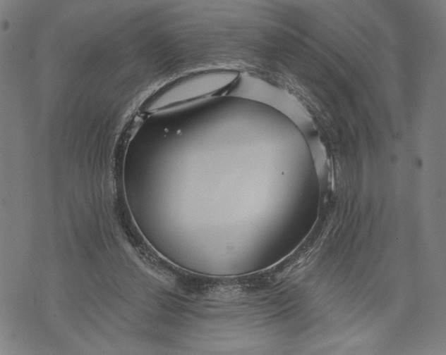 X0000073730252200608241304