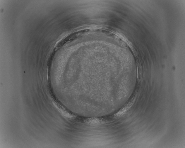 X0000073730253200608241304