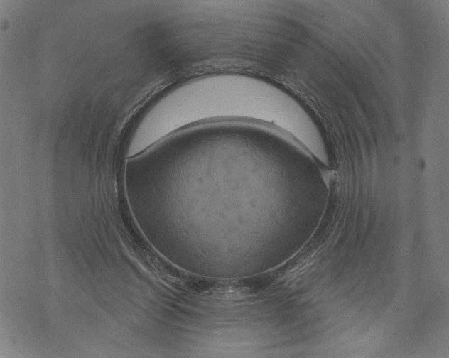 X0000073730254200608241304