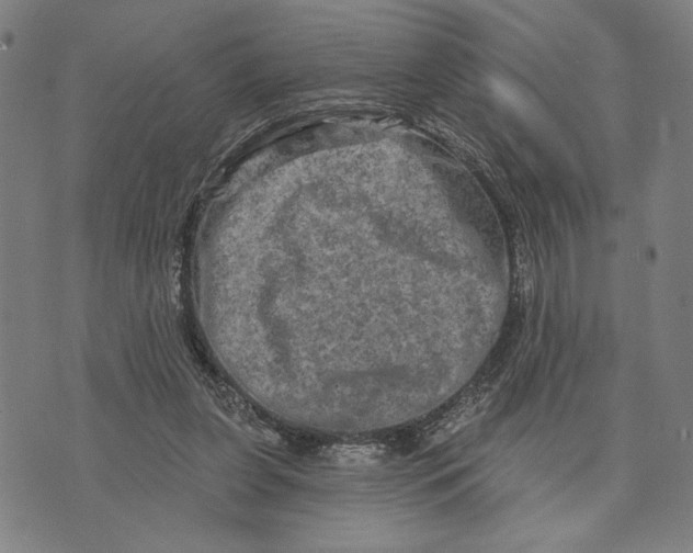 X0000073730255200608241304