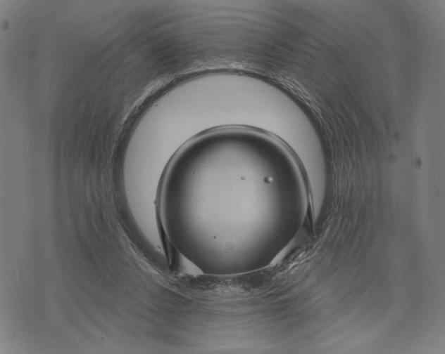 X0000073730256200608241304