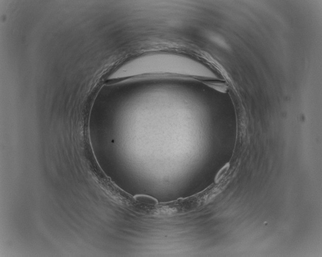 X0000073730257200608241304