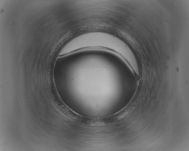 X0000073730258200608241304