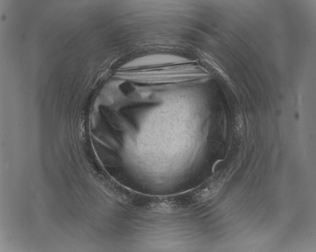 X0000073730259200608241304