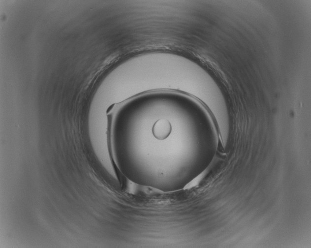 X0000073730260200608241304