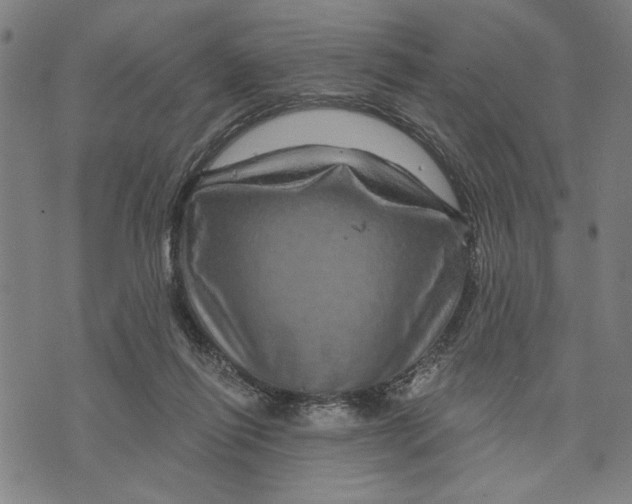 X0000073730262200608241304