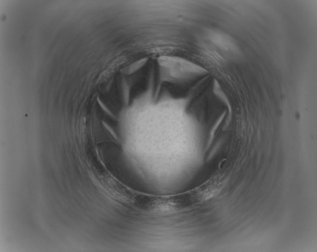 X0000073730263200608241304