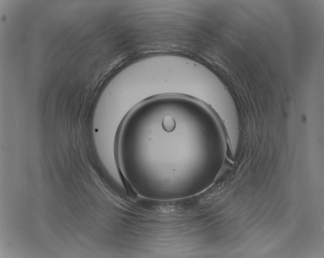 X0000073730264200608241304