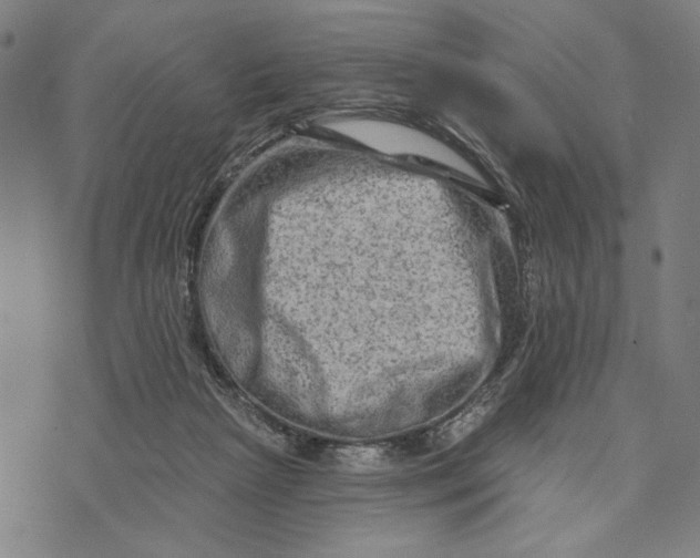 X0000073730265200608241304