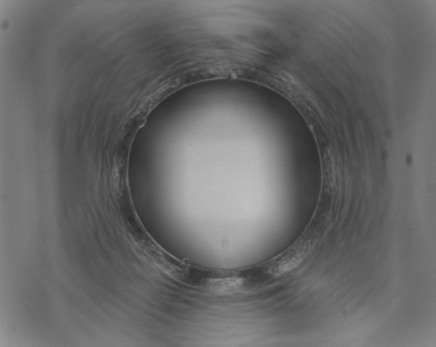 X0000073730266200608241304