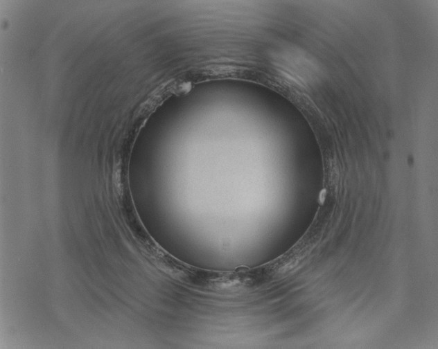 X0000073730267200608241304