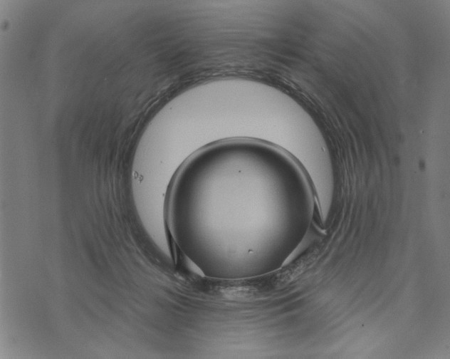 X0000073730268200608241304