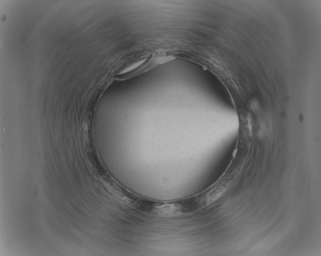 X0000073730269200608241304