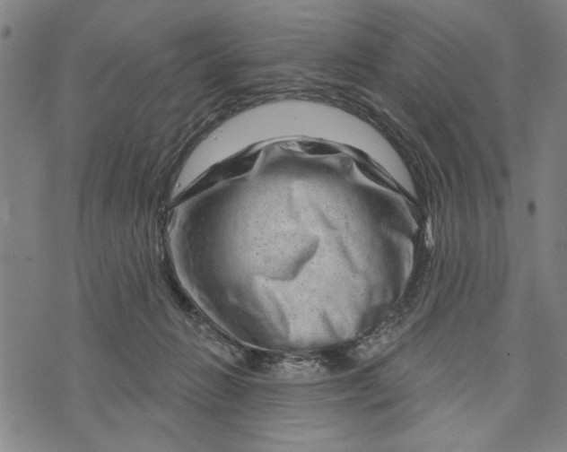 X0000073730270200608241304