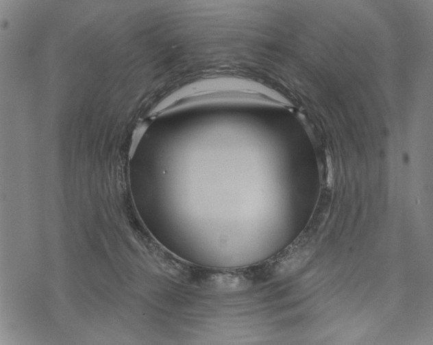 X0000073730272200608241304