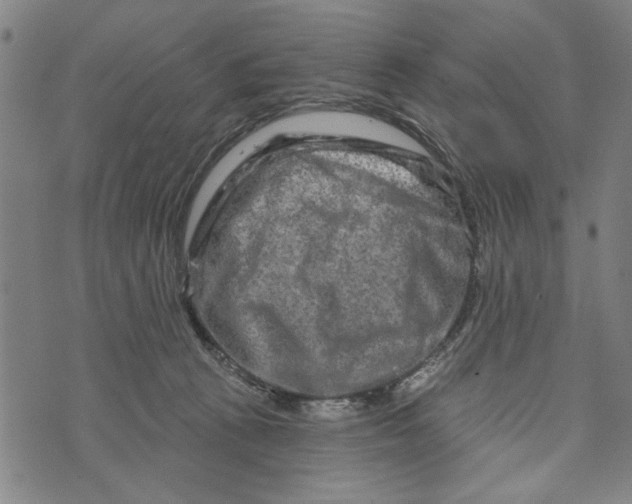 X0000073730273200608241304