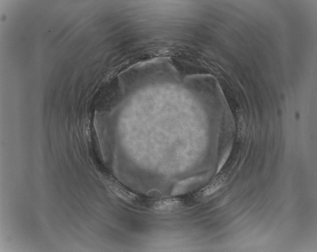 X0000073730274200608241304