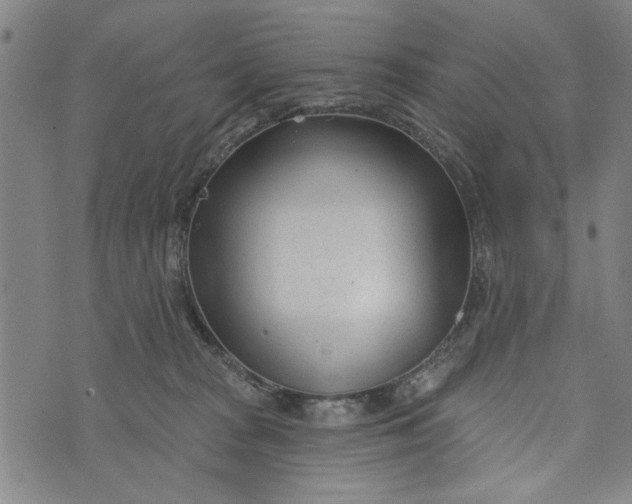 X0000073730277200608241304