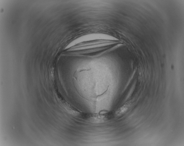 X0000073730278200608241304