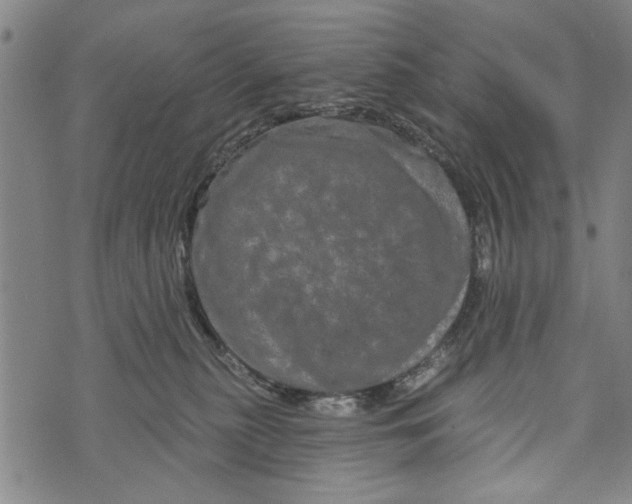 X0000073730279200608241304