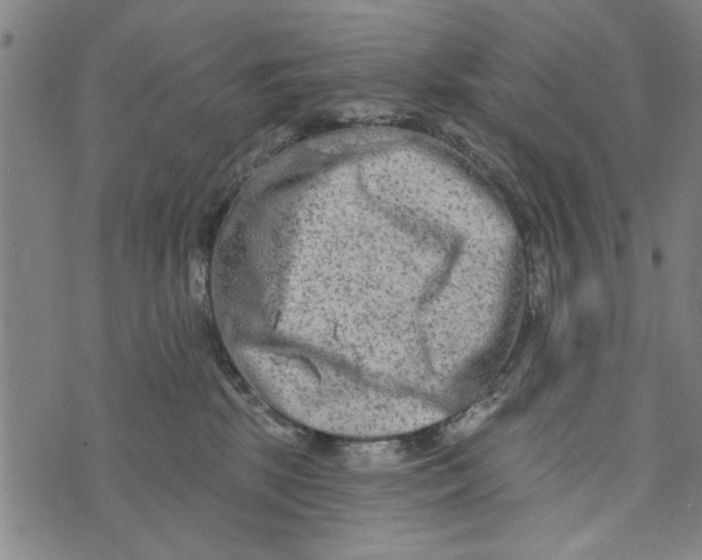 X0000073730281200608241304