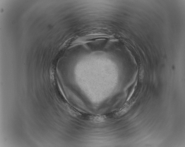 X0000073730282200608241304