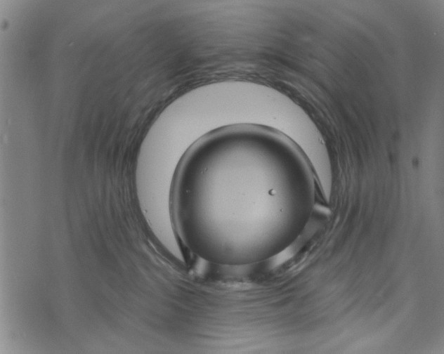 X0000073730284200608241304