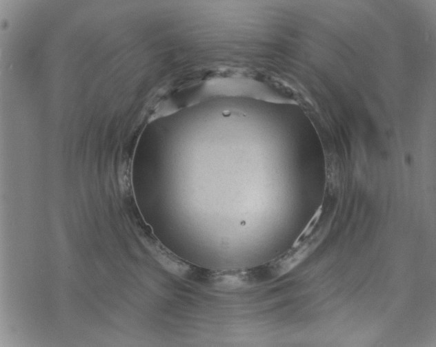 X0000073730285200608241304