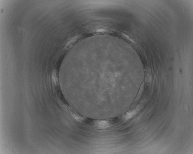 X0000073730287200608241304