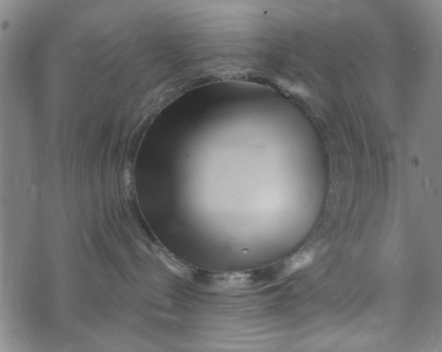 X0000073730288200608241305