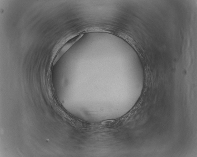 X0000073730289200608241304